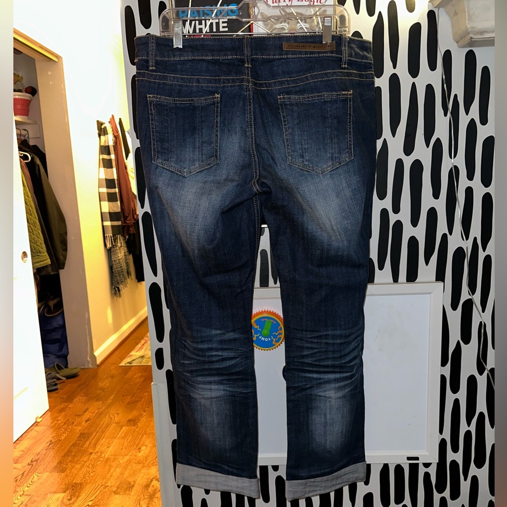 Standards & Practices - New Distressed Jeans - image 2